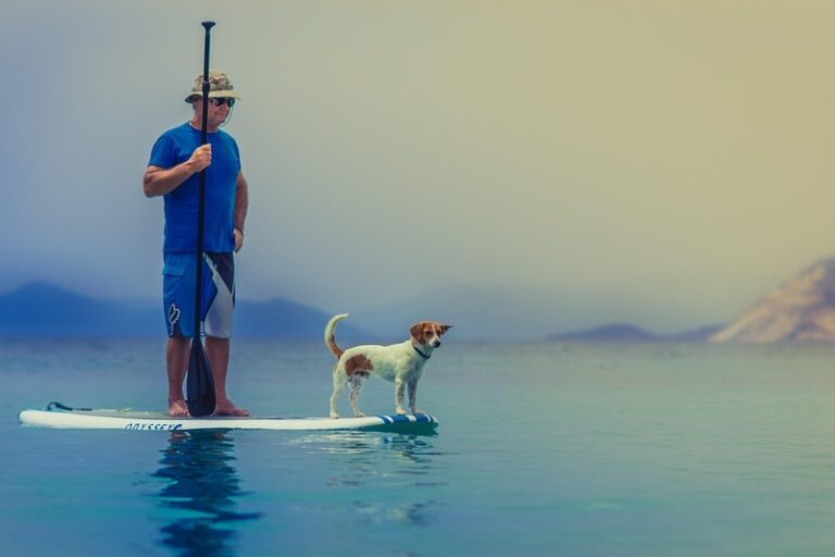 GuySurfboardwithDog Reg Dgital Academy Education and Training for Local Business Owners https://www.RegDigitalAcademy.com